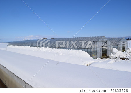 Vinyl house snow scene 76833578