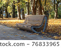 Autumn, city park, bench. 76833965
