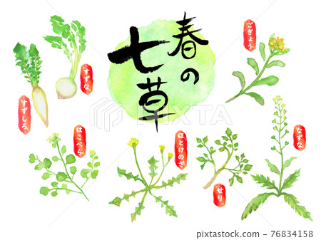 用水彩繪製的七種春天草本的插圖 用水彩繪製的七種春天草本的插圖 76834158