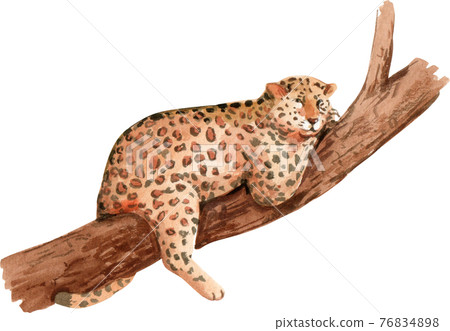 Loepard watercolor 76834898