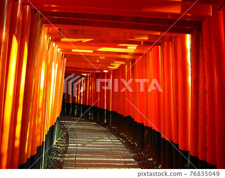 Torii Torii 76835049