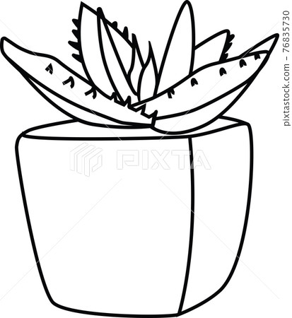 多肉植物的線描風格插圖 76835730