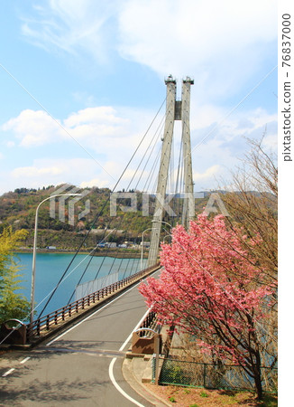 Daishima Island Daishima Island 76837000