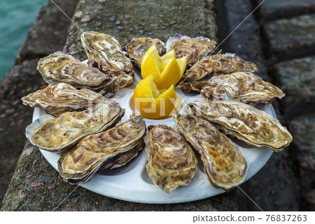 Plate with dozen oysters 76837263