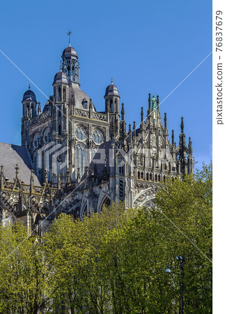 St. John's Cathedral, s-Hertogenbosch, Netherlands St. John's Cathedral, s-Hertogenbosch, Netherlands 76837679