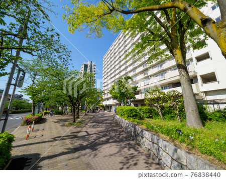 大矢田一丁目住宅小區(2017 年 4 月) 大矢田一丁目住宅小區(2017 年 4 月) 76838440
