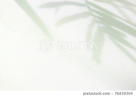Shadow of palm tree leaves, silhouette [summer] 76839304