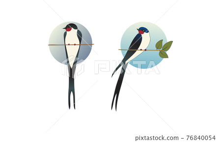 Swallow or Martin as Passerine Bird with Long Tail Perching on Tree Branch Vector Set 76840054