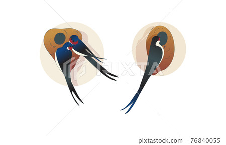 Swallow or Martin as Passerine Bird with Long Tail Perching on the Nest Vector Set 76840055
