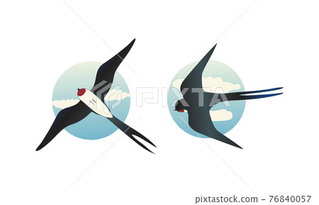 Swallow or Martin as Passerine Bird with Long Pointed Wings Vector Set 76840057