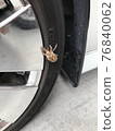 一隻緊貼汽車輪胎出現的蟬 76840062