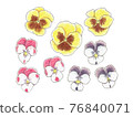 Watercolor style pansy viola 76840071
