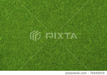 Lawn, moss background texture Lawn, moss background texture 76840859