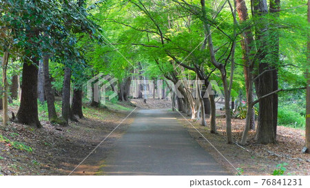 Ijō Park Ijō Park 76841231