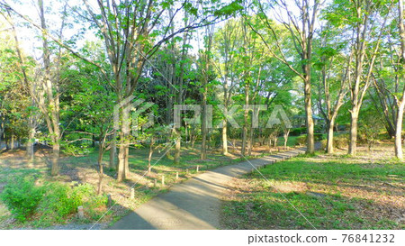 Ijō Park Ijō Park 76841232