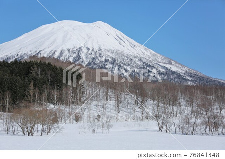 雪中的羊蹄山 76841348