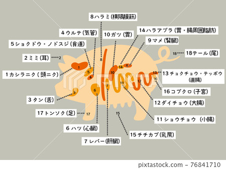 Pig internal organs with letters 76841710