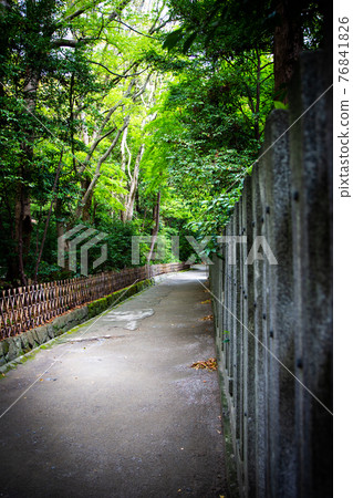鶴岡八幡宮（鎌倉市雪之下）神社附近的小路 76841826