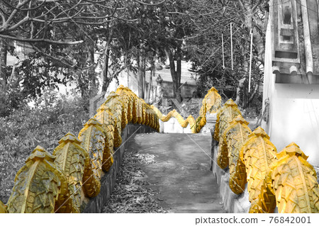 staircase decorated as Naga body in the temple staircase decorated as Naga body in the temple 76842001