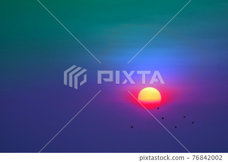 sunset on the evening colorful pastel cloud on the sky and silhouette birds flying sunset on the evening colorful pastel cloud on the sky and silhouette birds flying 76842002