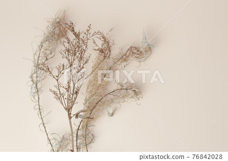Dry reeds isolated on beige background. Abstract dry grass flowers, pile of dry herbs, hay or straw, background with copy space, monochrome, trendy minimal style Dry reeds isolated on beige background. Abstract dry grass flowers, pile of dry herbs, hay or straw, background with copy space, monochrome, trendy minimal style 76842028