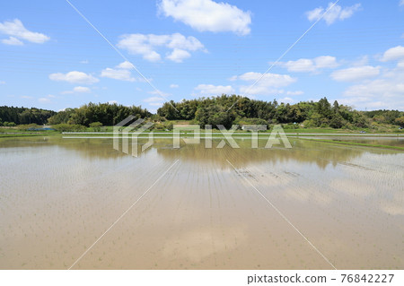 Country landscape Country landscape 76842227