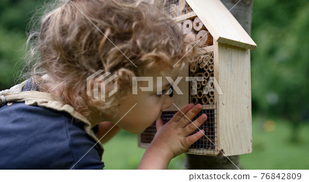 Small girl playing with bug and insect hotel in garden, sustainable lifestyle. Small girl playing with bug and insect hotel in garden, sustainable lifestyle. 76842809