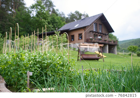 Vegetable garden in the backyard in the countryside, sustainable lifestyle. Vegetable garden in the backyard in the countryside, sustainable lifestyle. 76842815