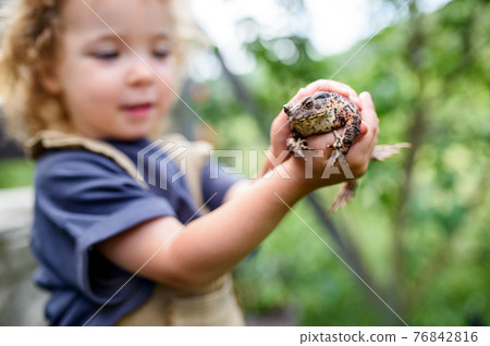 Close up portrait of small girl holding a frog outdoors in summer. Close up portrait of small girl holding a frog outdoors in summer. 76842816