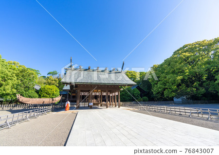 Fresh green Miyazaki Shrine, Miyazaki City, Miyazaki Prefecture 76843007
