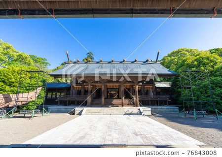 Fresh green Miyazaki Shrine, Miyazaki City, Miyazaki Prefecture 76843008