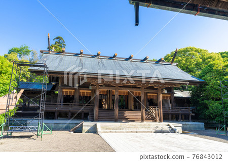 Fresh green Miyazaki Shrine, Miyazaki City, Miyazaki Prefecture 76843012