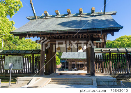 Fresh green Miyazaki Shrine, Miyazaki City, Miyazaki Prefecture 76843040