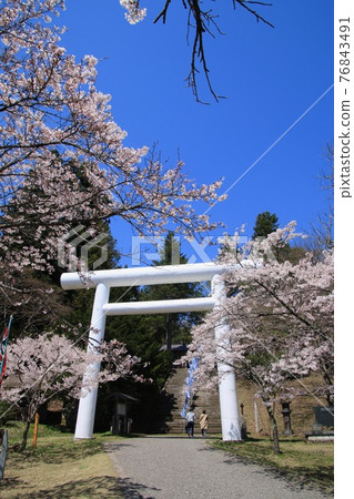 春天Totsu神社(福島縣,豬苗代町) 春天Totsu神社(福島縣,豬苗代町) 76843491