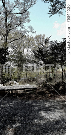Camp Solo Forest Bath Osaka Prefecture Camp Solo Forest Bath Osaka Prefecture 76844520