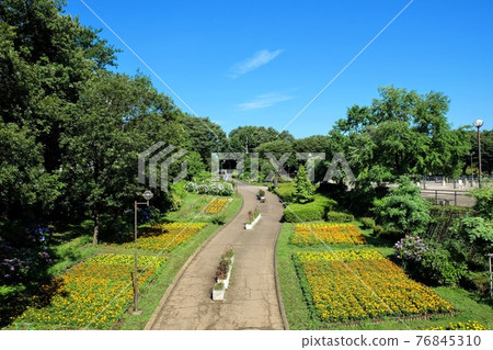 Sagamihara Gimpo Park 76845310