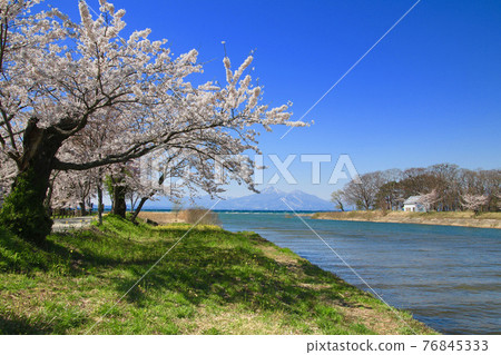 豬苗代湖和Hagiyama（湖山郡郡）在春天 76845333