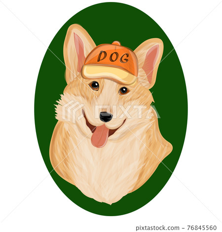 Corgi dog print Corgi dog print 76845560