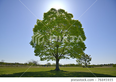 Kasada Square Kasada Square 76845935