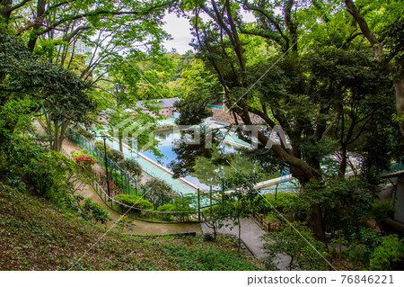 本町公園泳池,深受當地人的喜愛 本町公園泳池,深受當地人的喜愛 76846221