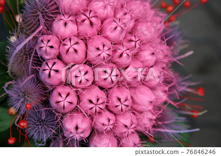 Floral Arrangement 76846246