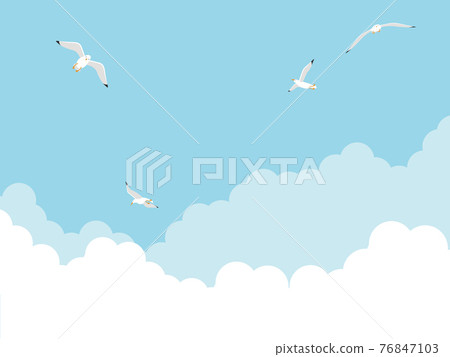 夏日的天空，海鷗翩翩起舞的天空 76847103
