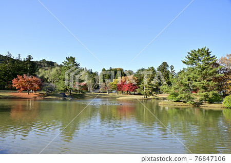 Maizuru, the site of the Kanjizaiōin Temple, is a pond Maizuru, the site of the Kanjizaiōin Temple, is a pond 76847106