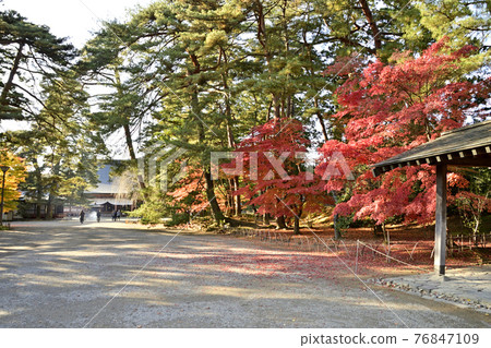 Autumn leaves in the precincts of Hiraizumi Motsuji Temple Autumn leaves in the precincts of Hiraizumi Motsuji Temple 76847109