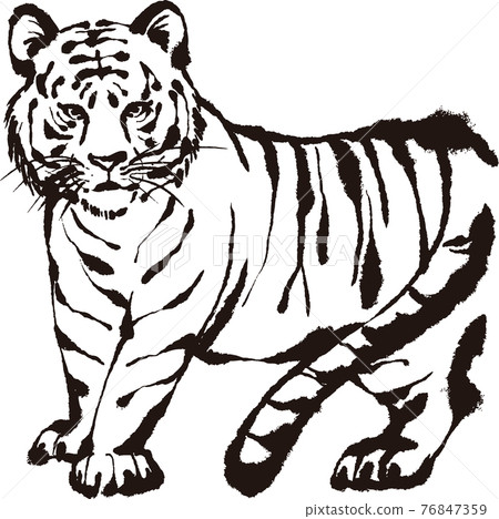 虎年虎印郵票剪影剪紙sumi-e賀年片素材新年素材插畫 76847359