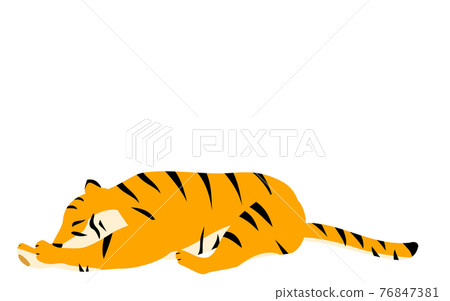 簡單的老虎姿勢圖，躺著睡覺 76847381