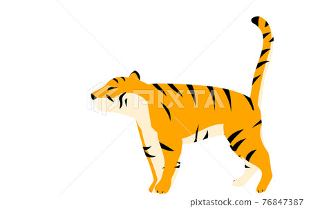Simple tiger pose illustration, standing 76847387