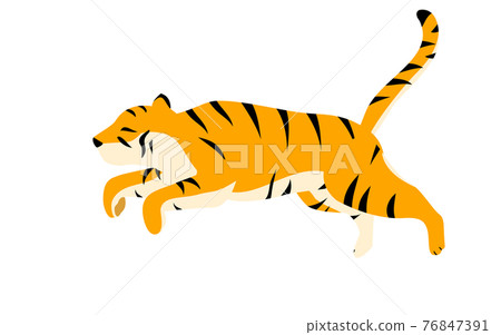 簡單的老虎姿勢圖，在空中奔跑和飛行 76847391
