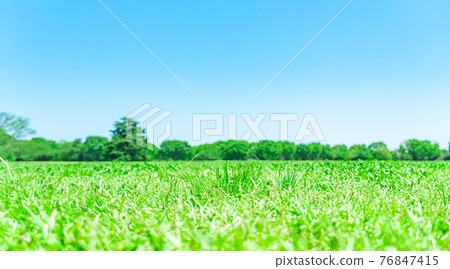 梅多 梅多 76847415