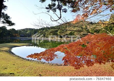 平泉毛辻寺 須濱貝利之紅葉寺 76847460